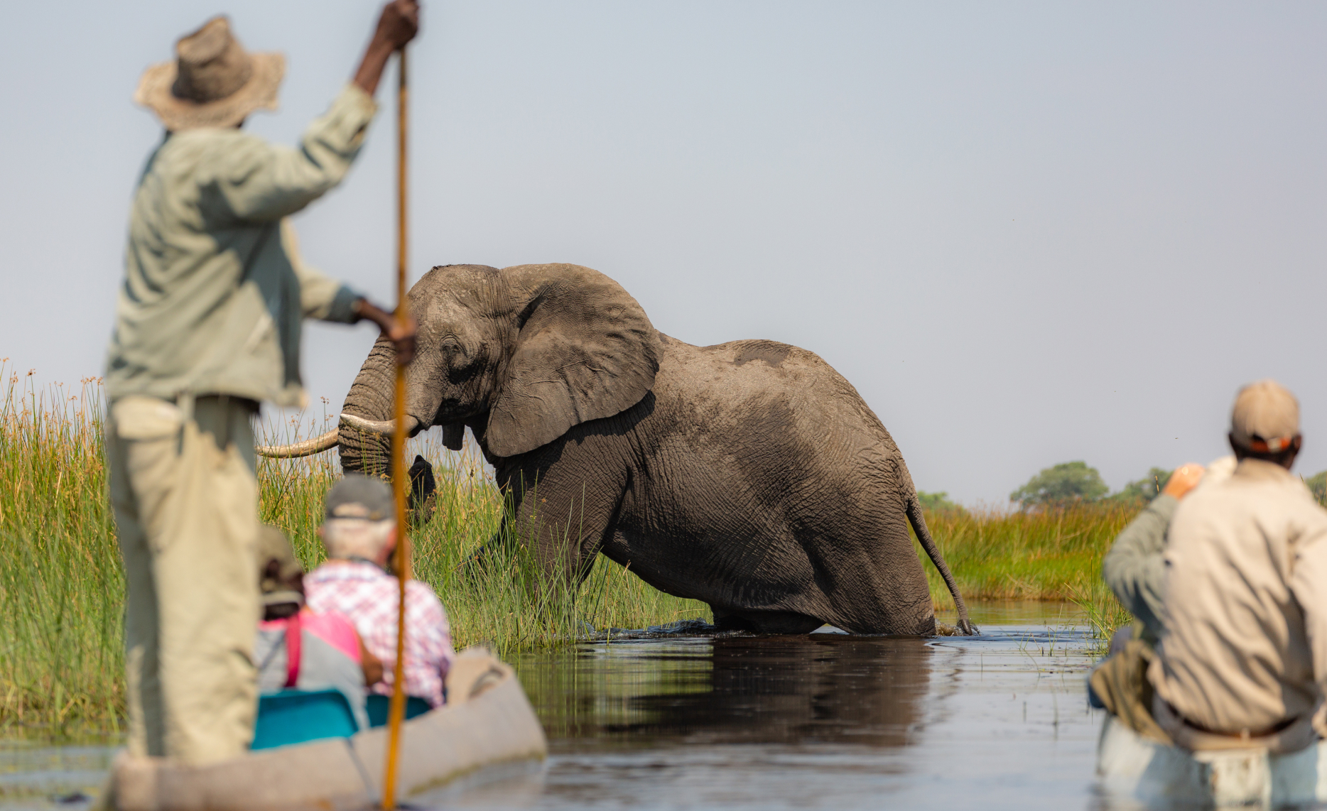 Okavango-sliderImg