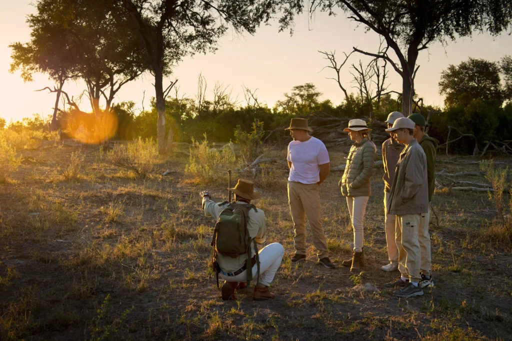 Walking Safari