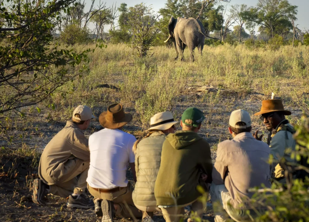 Safari Walks Okavango Delta