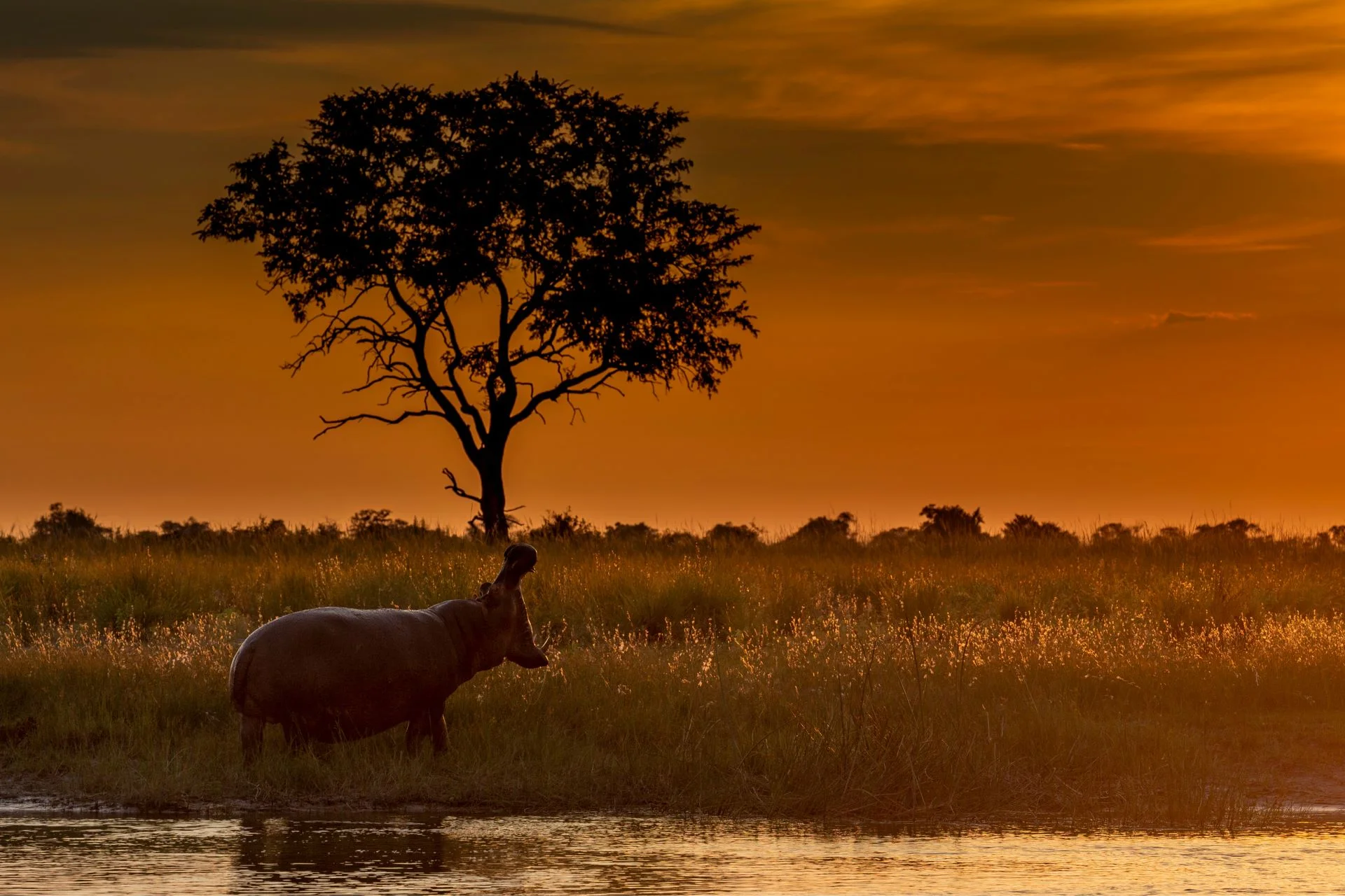 A Unique African Adventure