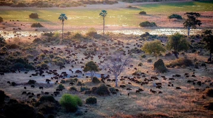 Botswana