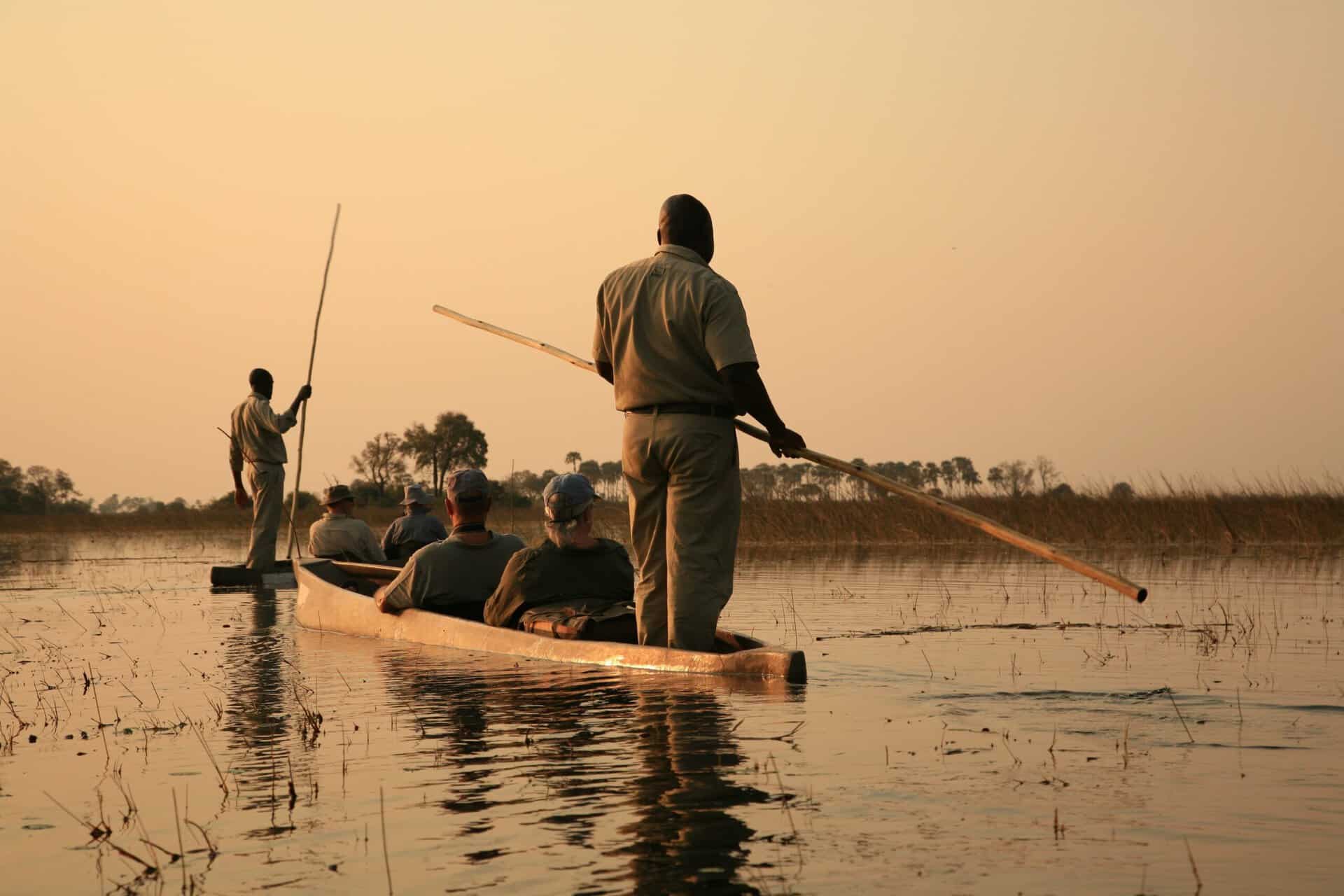 Okavango Delta Moremi Botswana (177)