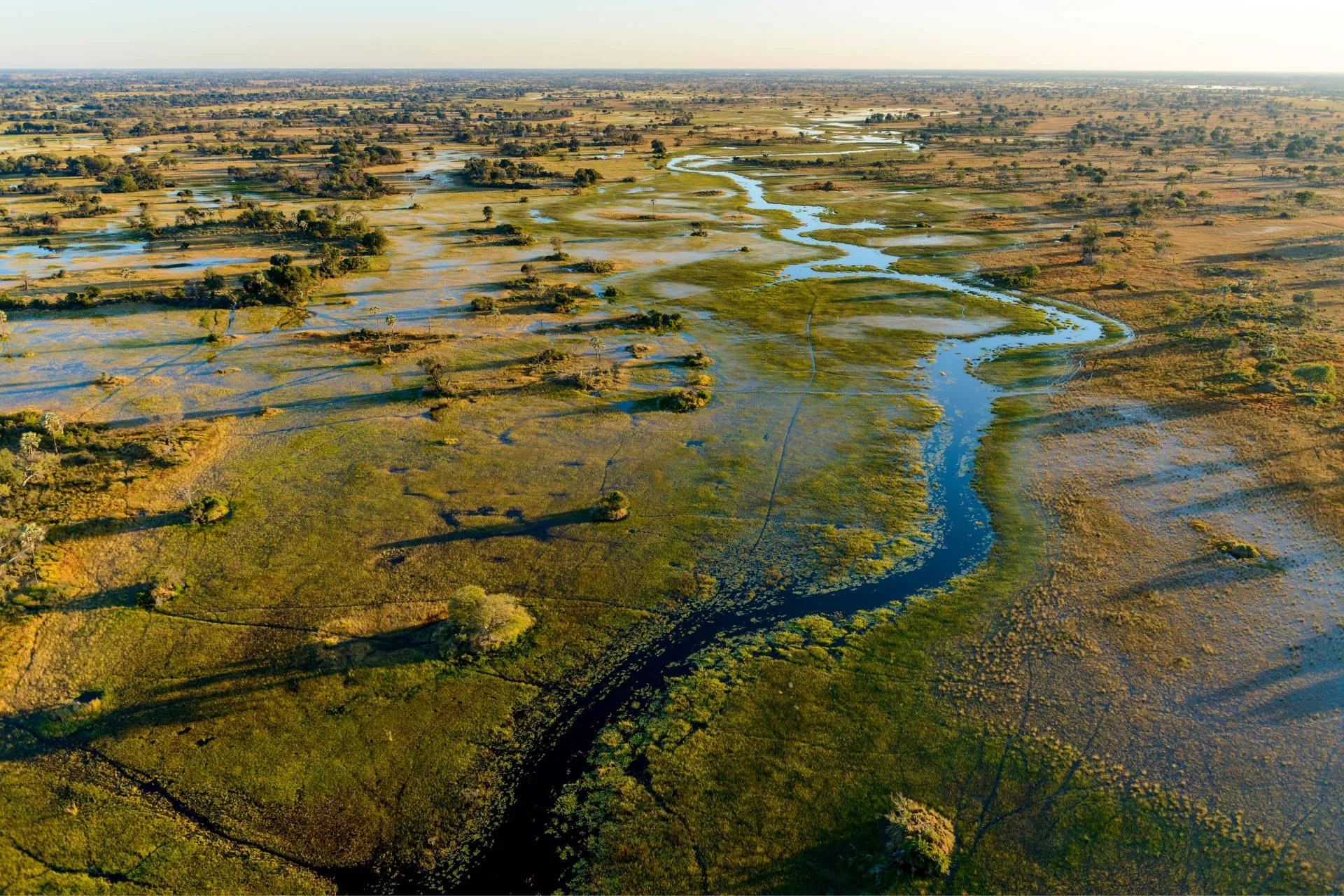 Why Choose a Safari in the Okavango Delta ?