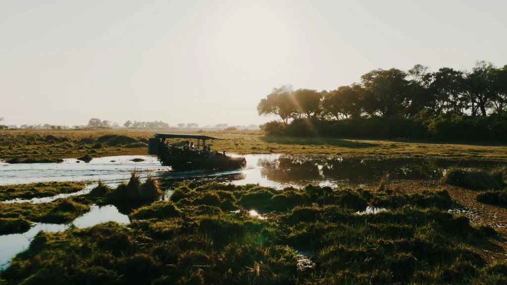 Atzaro Okavango safari vehicle on game drive