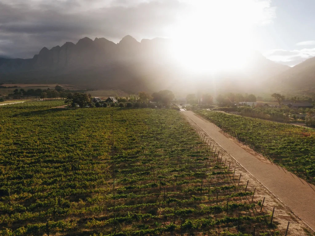 A view of a winery and a single road at sunset with a silhouette of a mountain in the background.