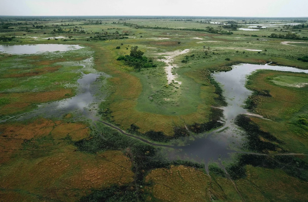 Aerial view of a landscape over the Okavango Delta