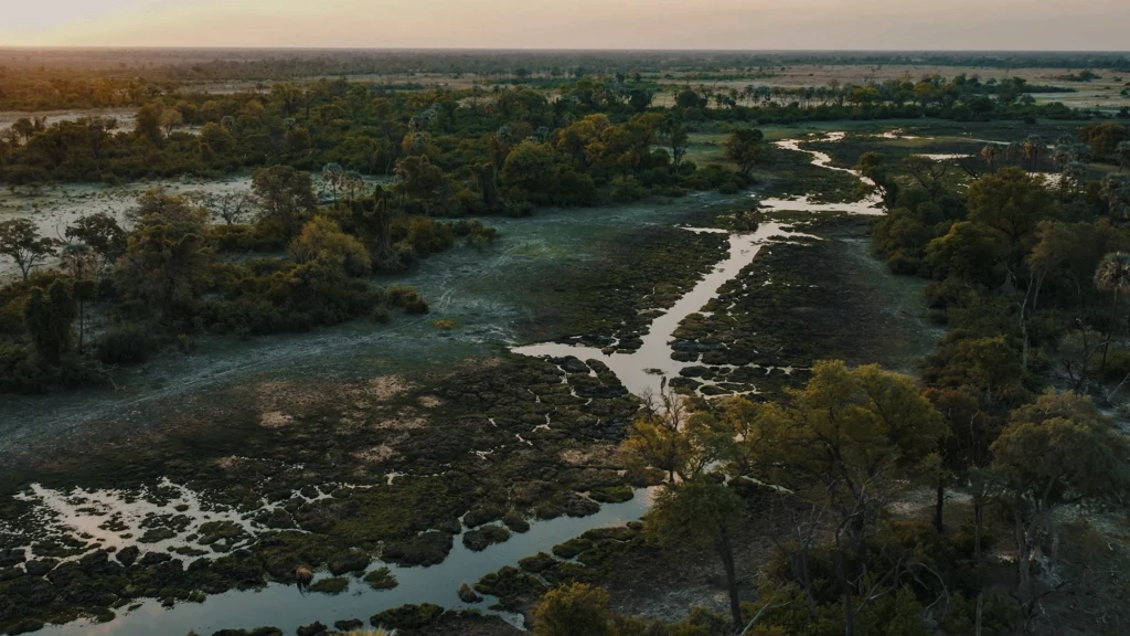 Aerial view of the Okavango Delta. Discover the best time to visit Okavango Delta with Atzaro Okavango! Explore wildlife highlights, seasonal changes, and insider tips for a magical 2025 safari.