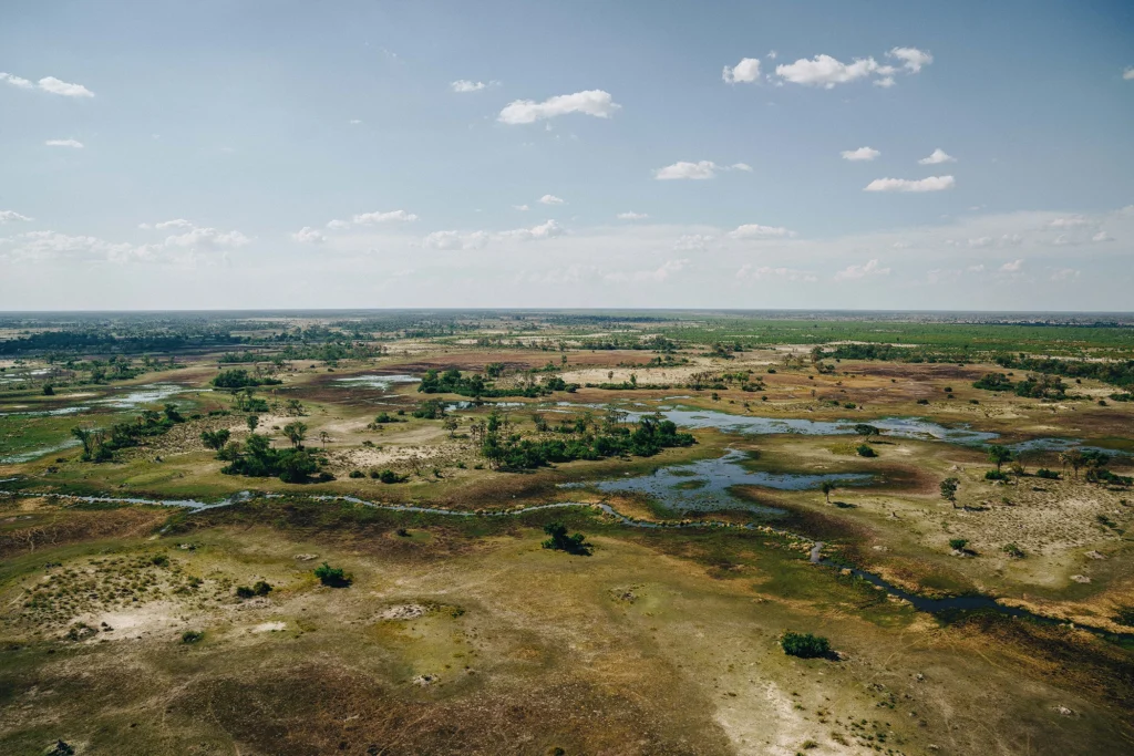 Aerial view of a landscape over the Okavango Delta
