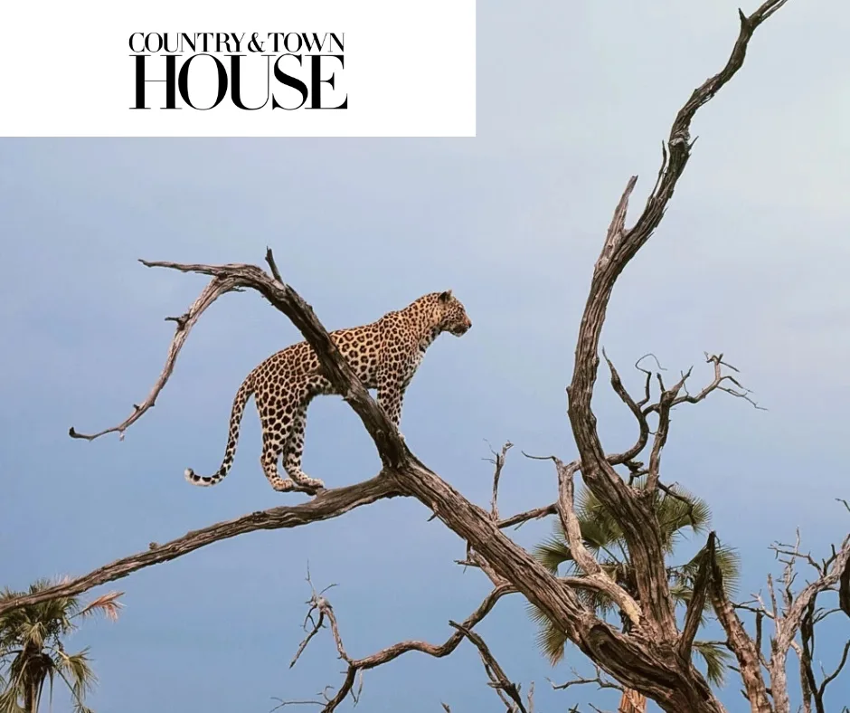 Pictures with logos (1)