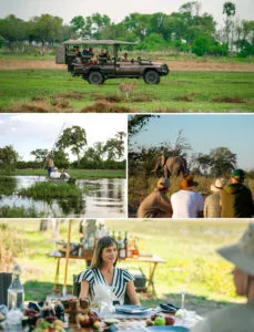 Game drive safari with cheetah sighting, mokoro canoe safari in the wetlands, guided walking safari with elephant encounter, and luxury bush snack in Botswana.