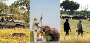 A collage featuring a traditional mokoro safari with an elephant, a leopard sighting during a game drive, and a guided walking safari with wildebeest in the Okavango Delta, Botswana.