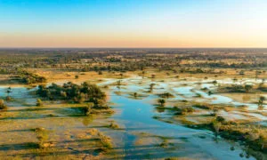 Aerial view of the Okavango Delta floodplains near Atzaró Okavango Camp in Botswana at golden hour.