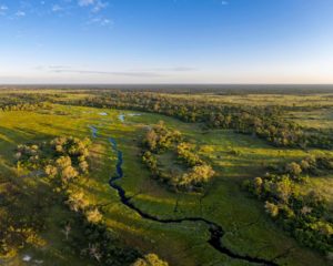 Okavango Delta Drone View.