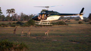 Okavango Delta Helicopter Luxury Experience.