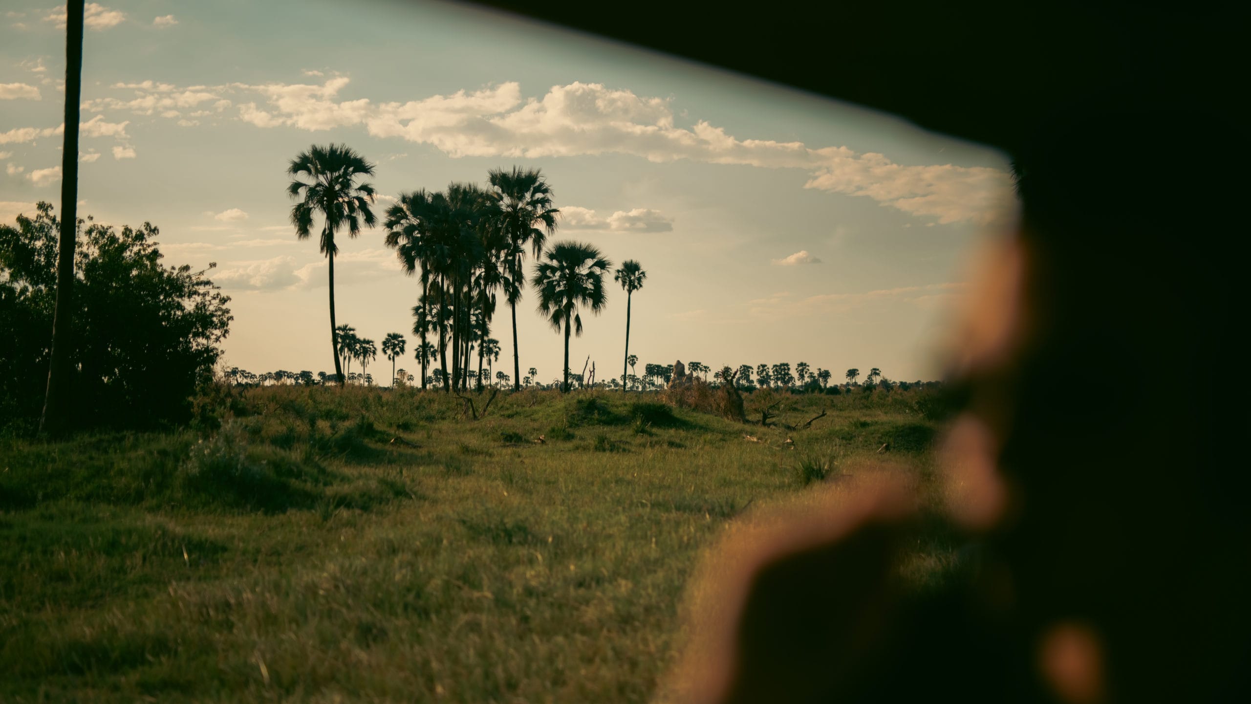 Discover Why Atzaró Okavango Camp Offers One of the Best African Safari Tours Experiences