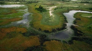 Panoramic view of Okavango Delta 