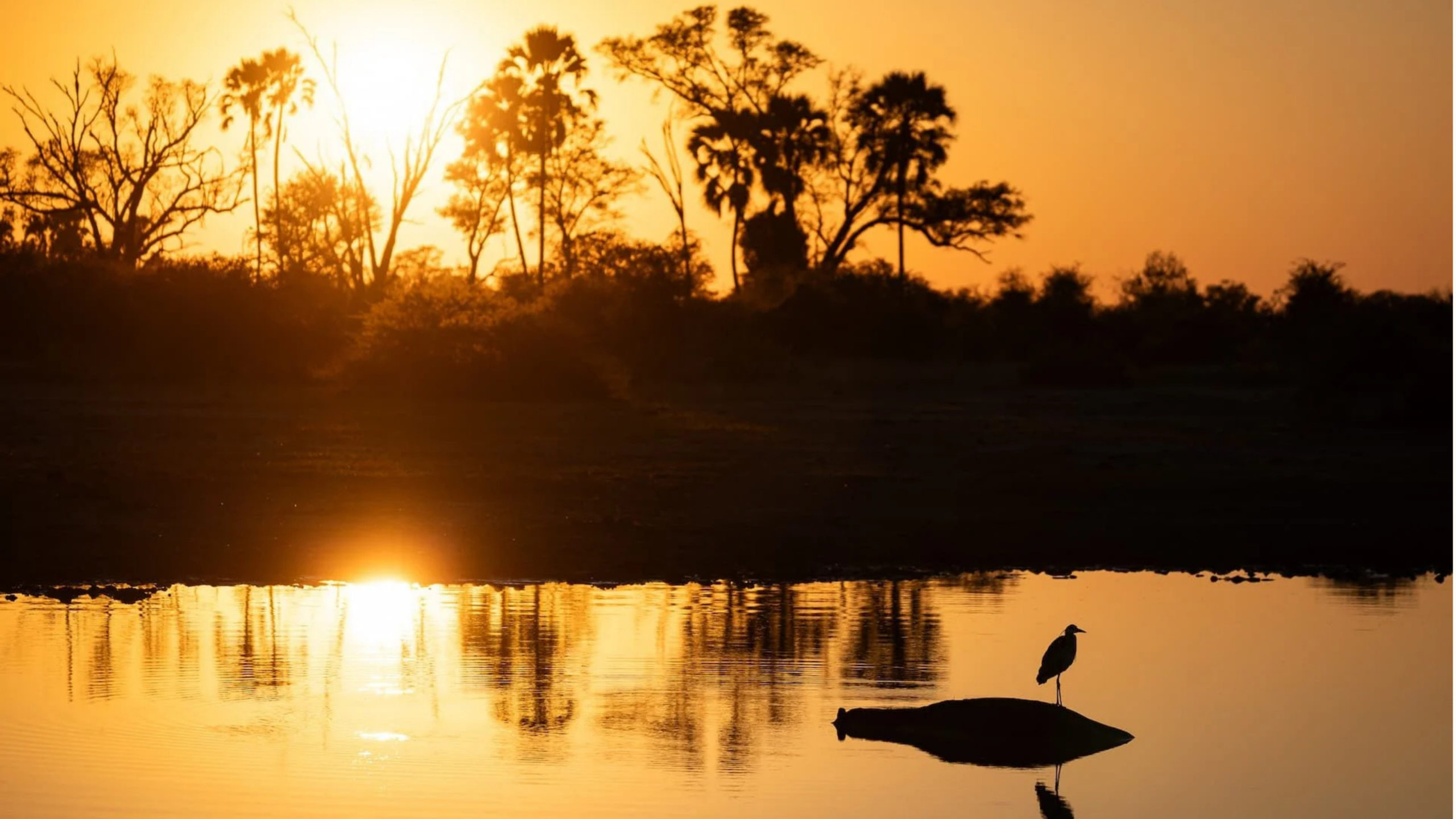 Okavango Delta in Botswana