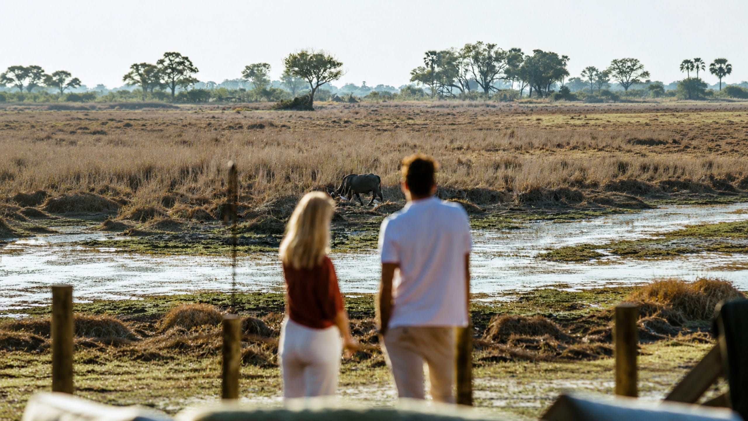 Best Luxury African Safari Tours for an Unforgettable Botswana Experience