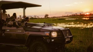 Guided game drives at Azaro Okavango Camp