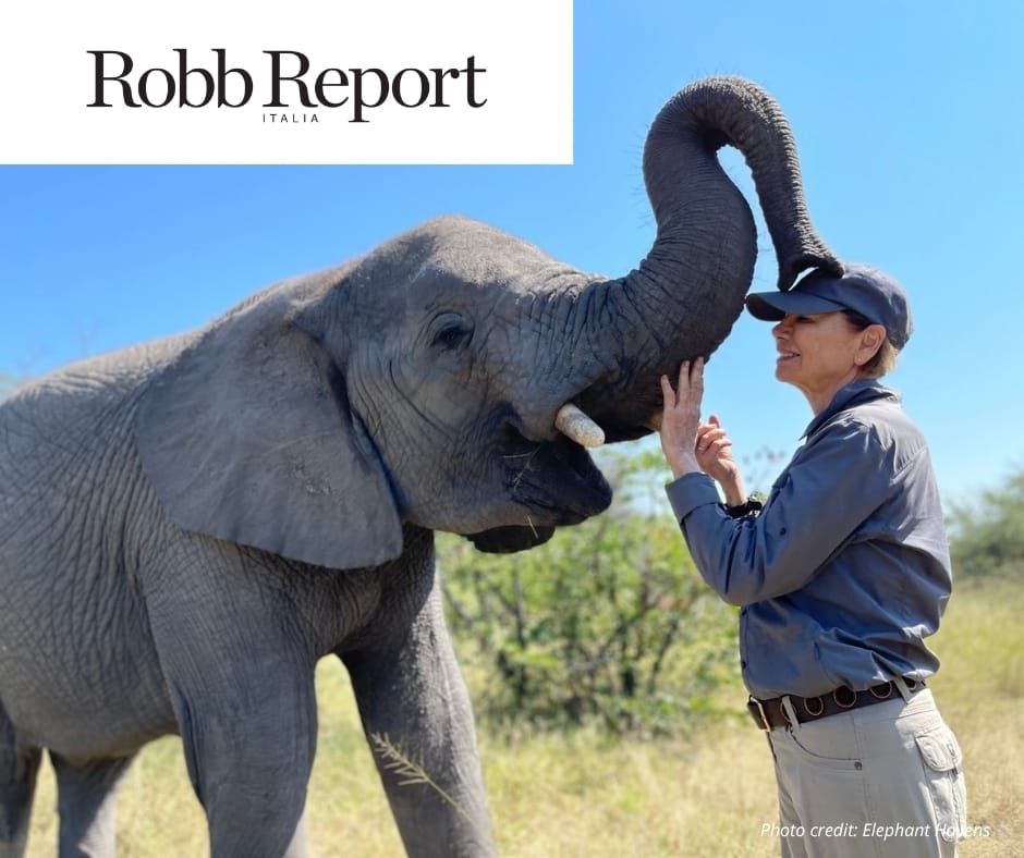 Atzaró African Ultimate Experience at Elephant Havens | Robb Report Italia