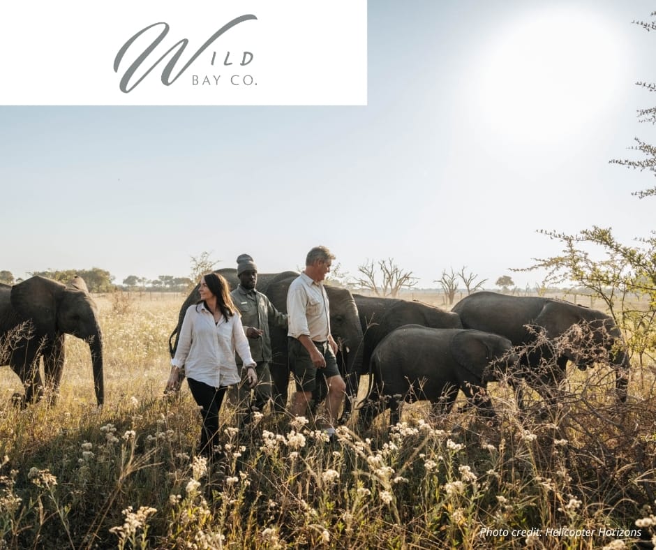 Atzaró Okavango Orphaned Elephant Conservation Experience