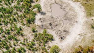 Aerial view of elephants walking between sand and water channels in the Okavango Delta, Botswana