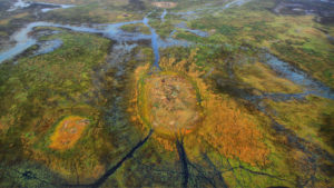 Aerial view of the Okavango Delta: winding blue water channels cut through a patchwork of lime green and golden-orange wetlands, with a circular island of rust-colored vegetation at the center of the floodplain