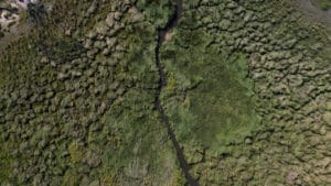 Traditional mokoro canoe gliding through a papyrus-lined channel in the Okavango Delta, near Moremi Game Reserve
